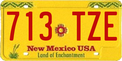 NM license plate 713TZE