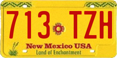 NM license plate 713TZH
