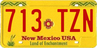 NM license plate 713TZN