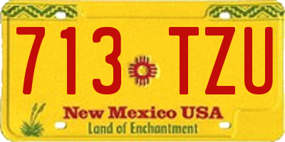 NM license plate 713TZU