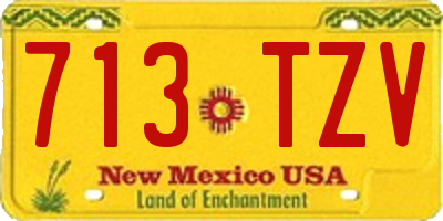 NM license plate 713TZV