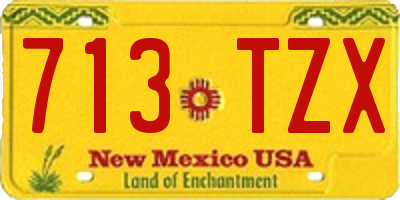NM license plate 713TZX