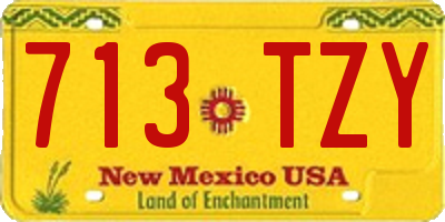 NM license plate 713TZY