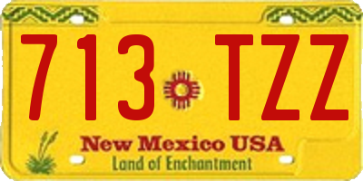 NM license plate 713TZZ