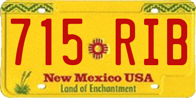 NM license plate 715RIB