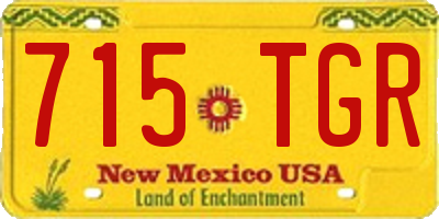 NM license plate 715TGR