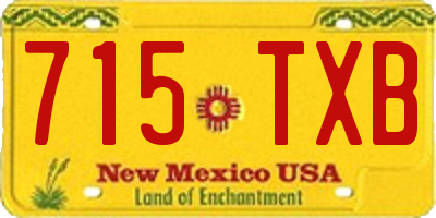 NM license plate 715TXB