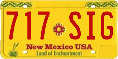 NM license plate 717SIG
