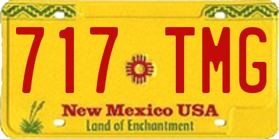 NM license plate 717TMG