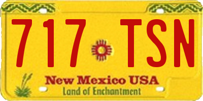 NM license plate 717TSN