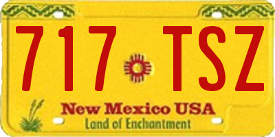 NM license plate 717TSZ