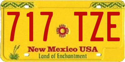 NM license plate 717TZE