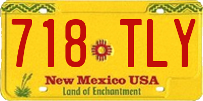 NM license plate 718TLY