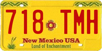 NM license plate 718TMH