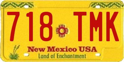 NM license plate 718TMK