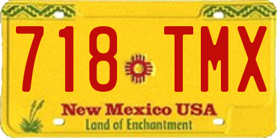 NM license plate 718TMX