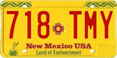 NM license plate 718TMY