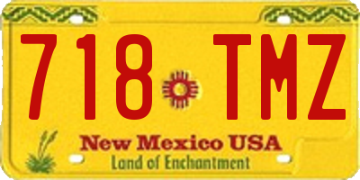 NM license plate 718TMZ