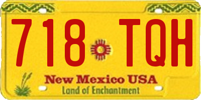 NM license plate 718TQH