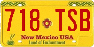 NM license plate 718TSB