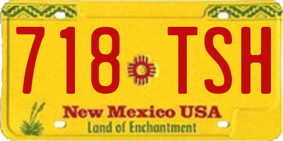 NM license plate 718TSH