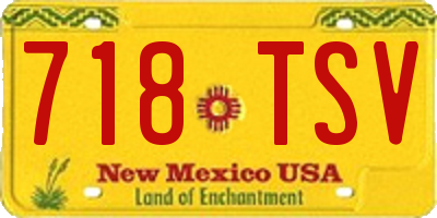 NM license plate 718TSV