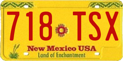 NM license plate 718TSX
