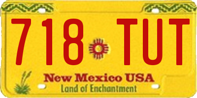 NM license plate 718TUT