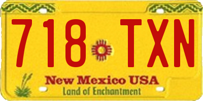 NM license plate 718TXN