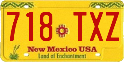 NM license plate 718TXZ