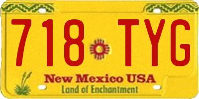 NM license plate 718TYG