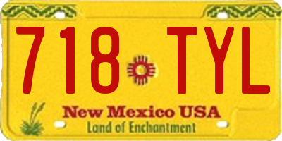 NM license plate 718TYL