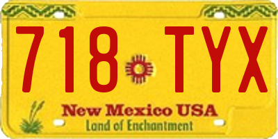 NM license plate 718TYX