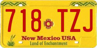 NM license plate 718TZJ