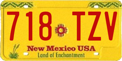 NM license plate 718TZV