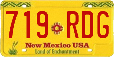NM license plate 719RDG