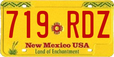 NM license plate 719RDZ