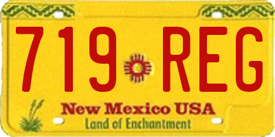 NM license plate 719REG