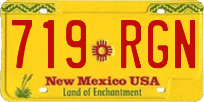NM license plate 719RGN