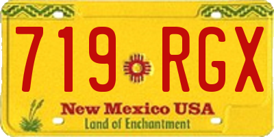 NM license plate 719RGX