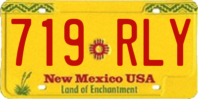 NM license plate 719RLY