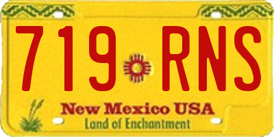NM license plate 719RNS