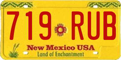 NM license plate 719RUB