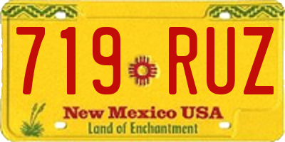 NM license plate 719RUZ
