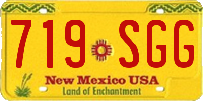 NM license plate 719SGG