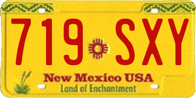 NM license plate 719SXY
