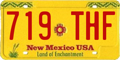 NM license plate 719THF