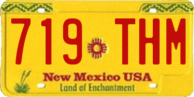 NM license plate 719THM