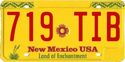 NM license plate 719TIB