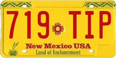 NM license plate 719TIP